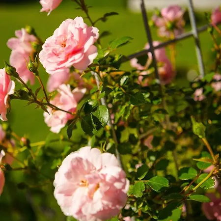 Apartment Burghard Altenmarkt im Pongau